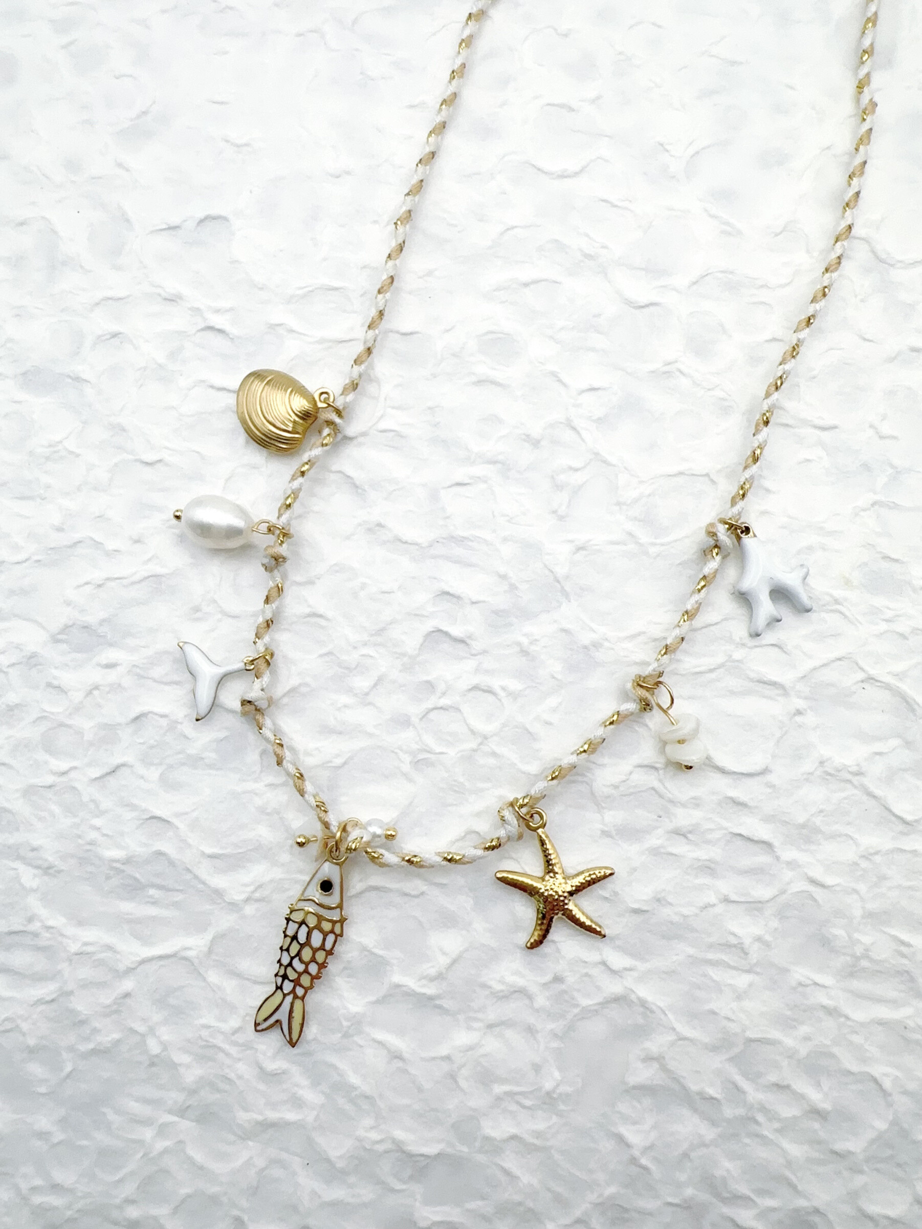 Mayorista H&T Bijoux - Collar de acero inoxidable