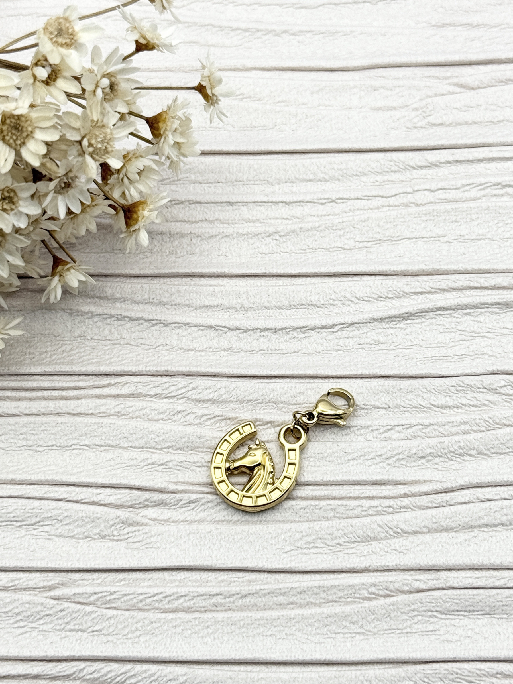 Mayorista H&T Bijoux - Encanto de acero inoxidable.