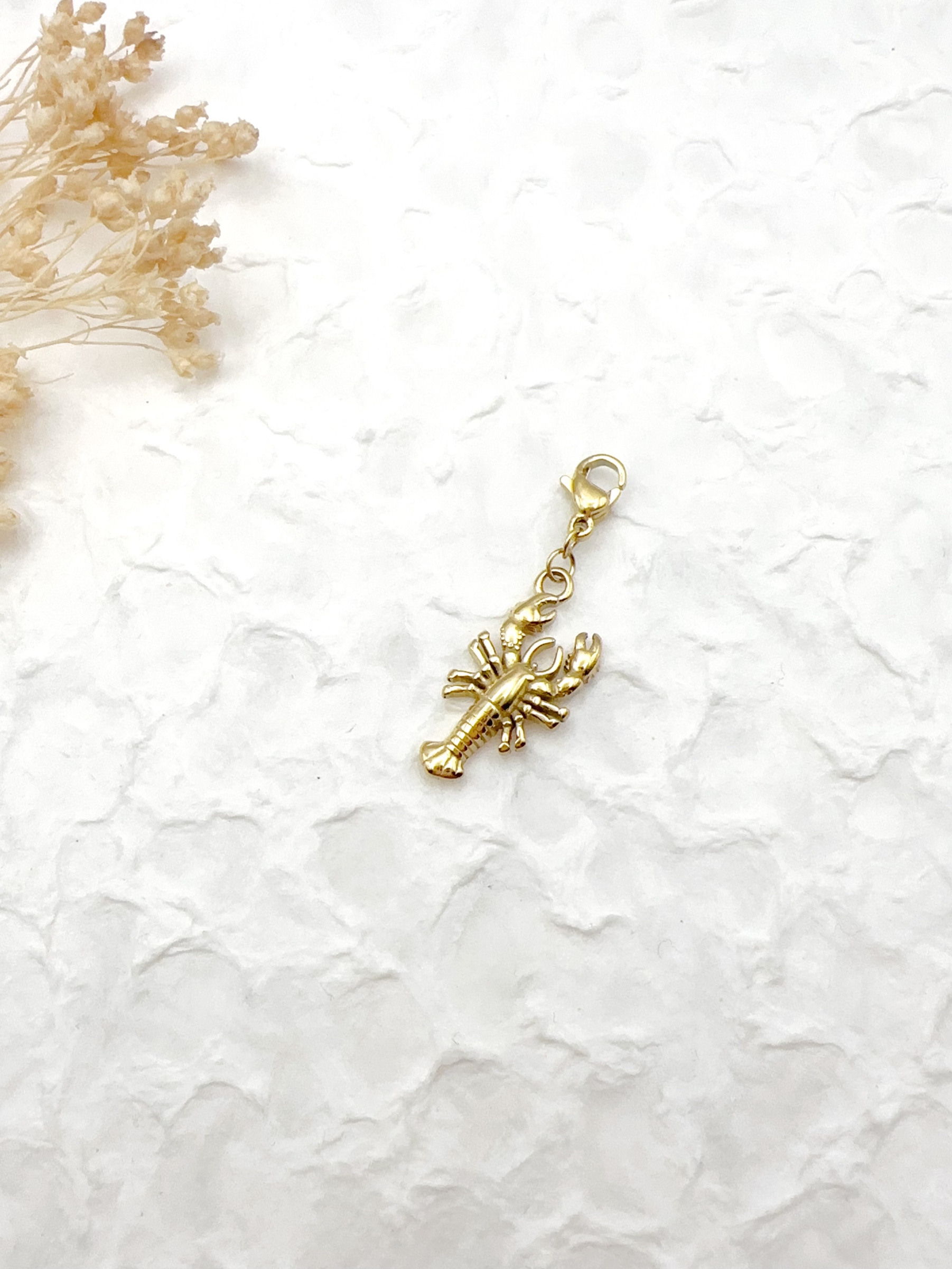 Mayorista H&T Bijoux - Encanto de acero inoxidable.