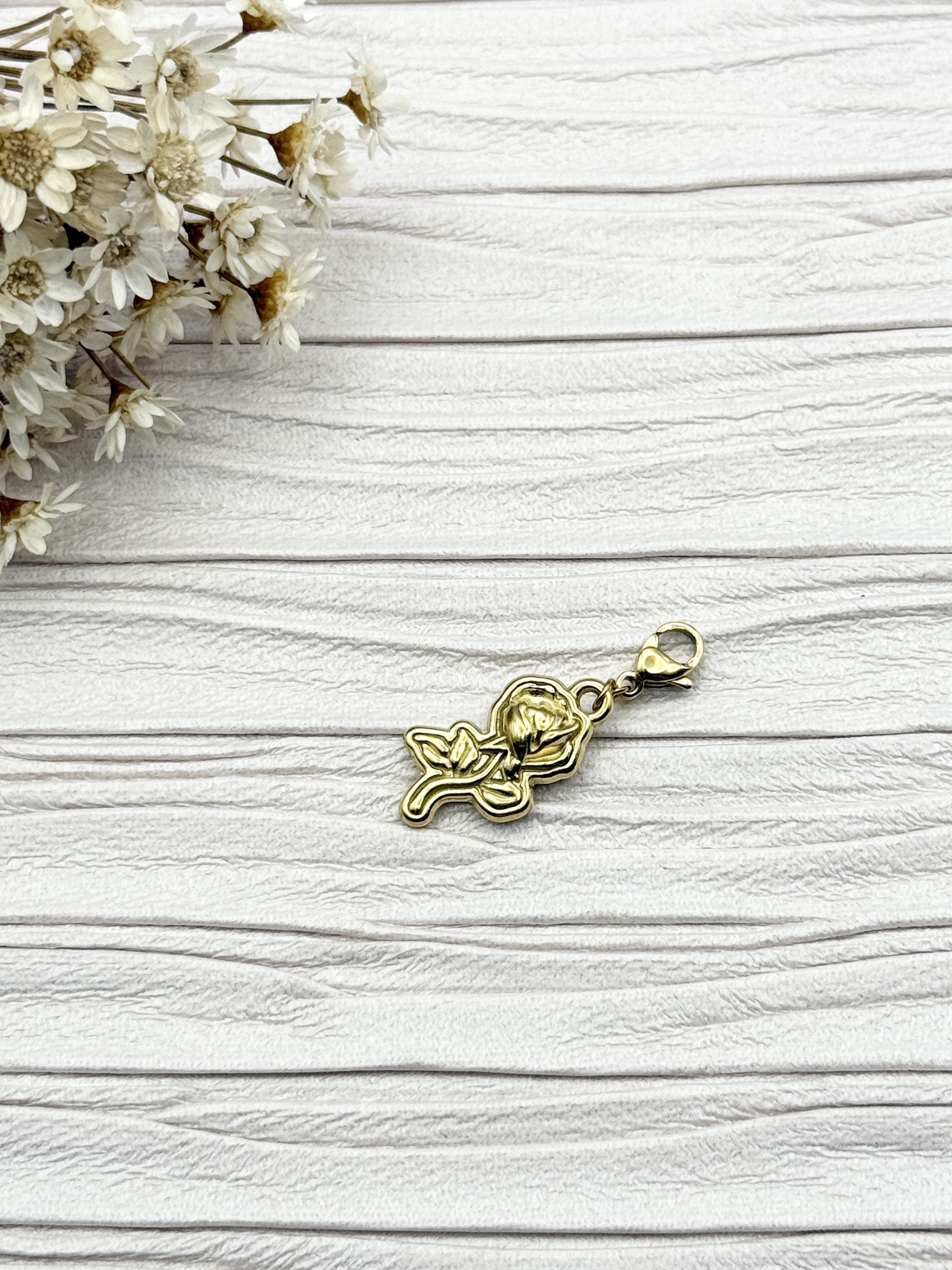 Mayorista H&T Bijoux - Encanto de acero inoxidable.