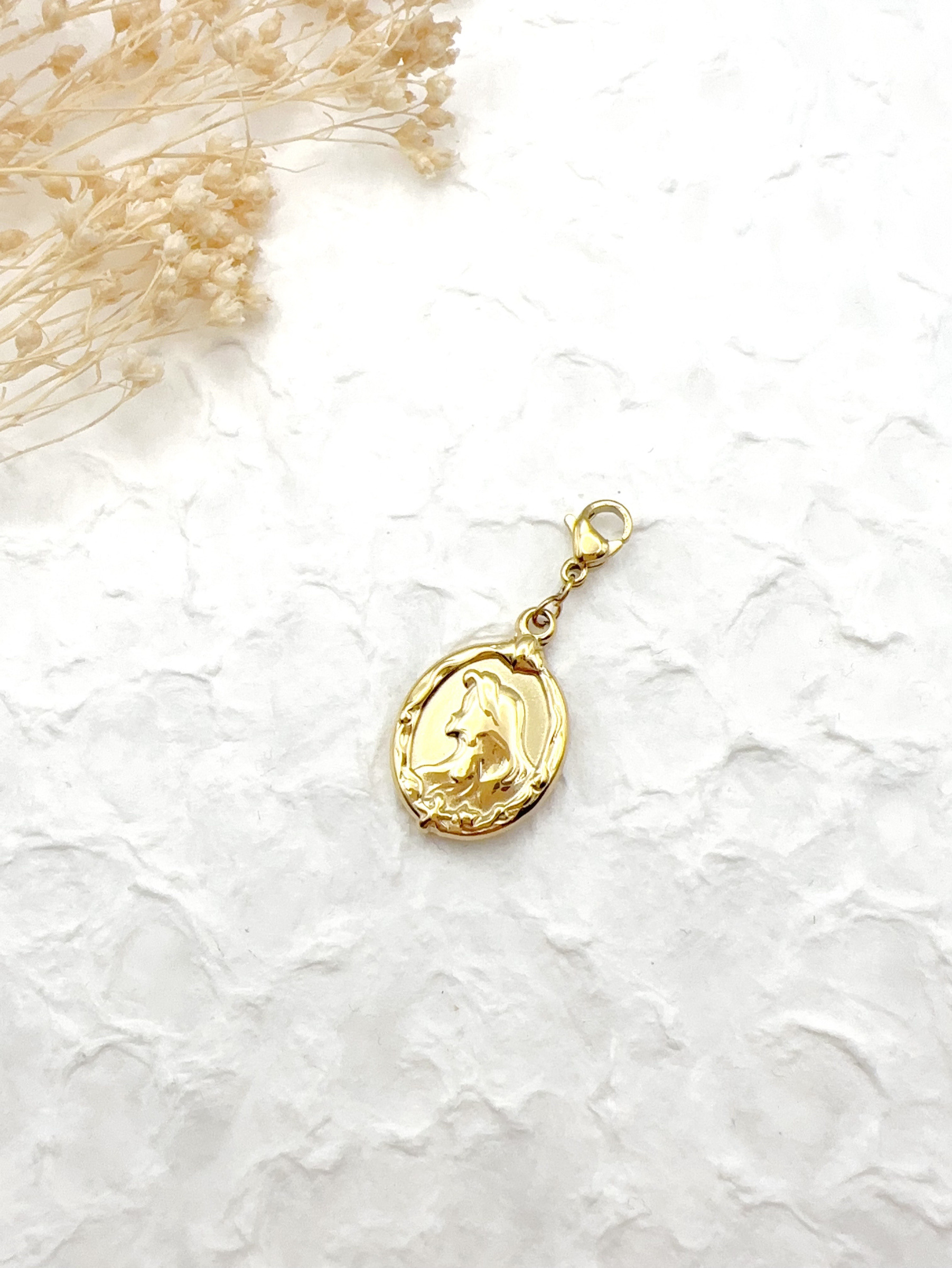 Mayorista H&T Bijoux - Encanto de acero inoxidable.