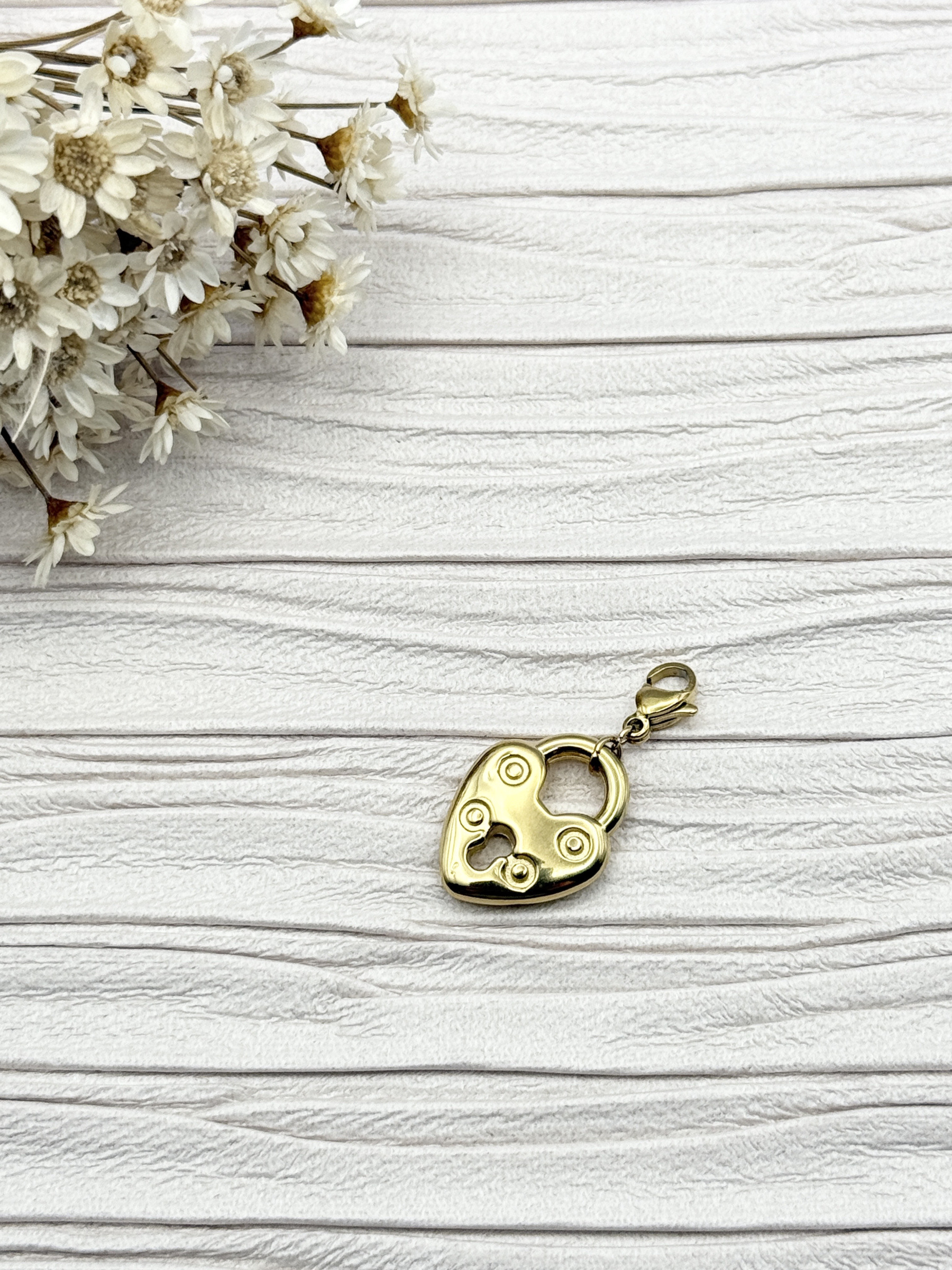 Mayorista H&T Bijoux - Encanto de acero inoxidable.