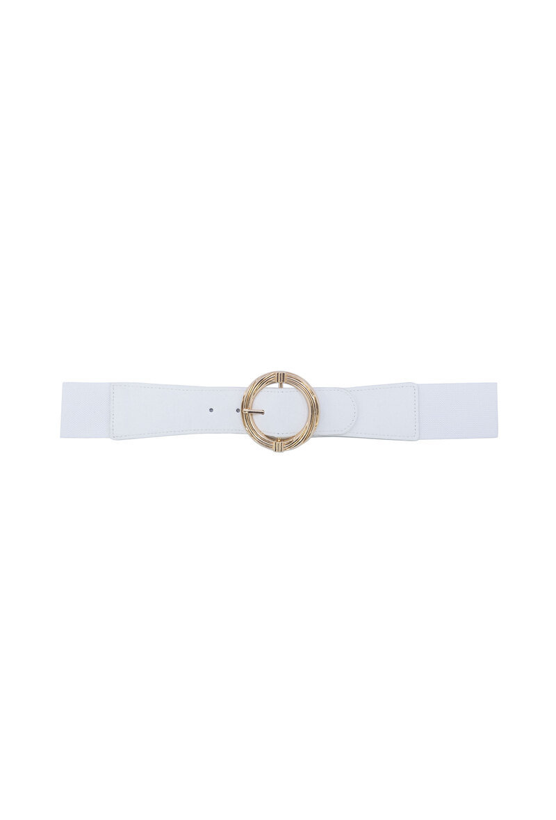 Wholesaler JCL - Wide elastic belt with gold buckle