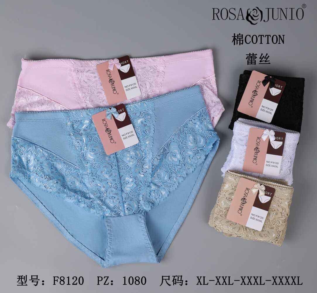 Grossiste JESSYLIA - Slip grand taille