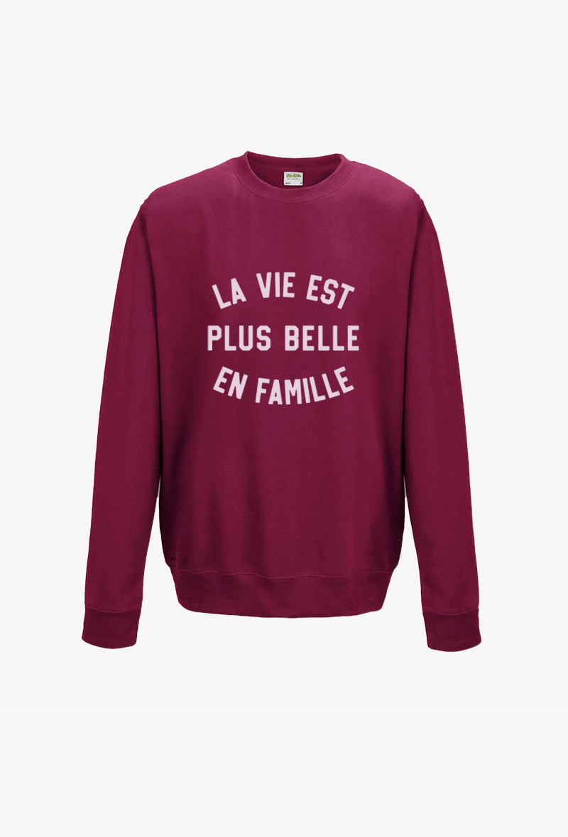 Mayorista Kapsul - Sudadera para adultos - La vida es más bella en familia