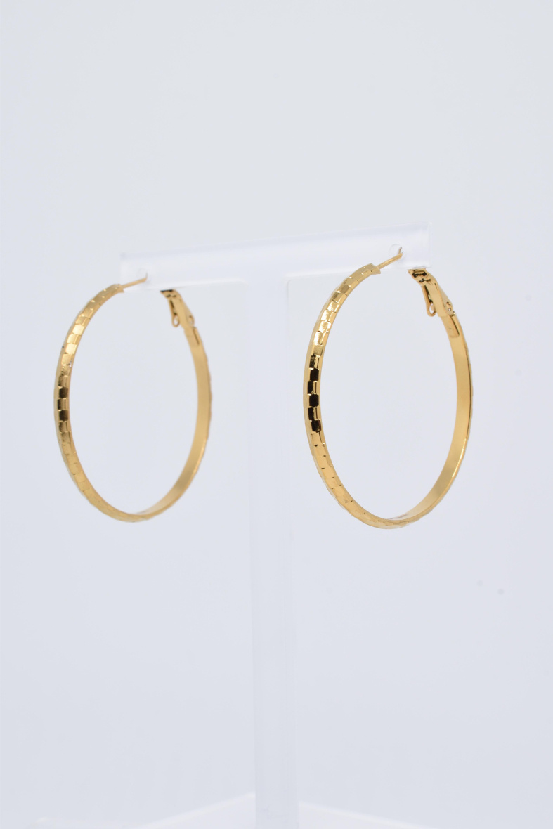 Wholesaler Kapyco - STAINLESS STEEL EARRINGS