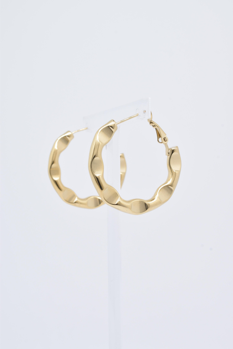 Wholesaler Kapyco - STAINLESS STEEL EARRINGS