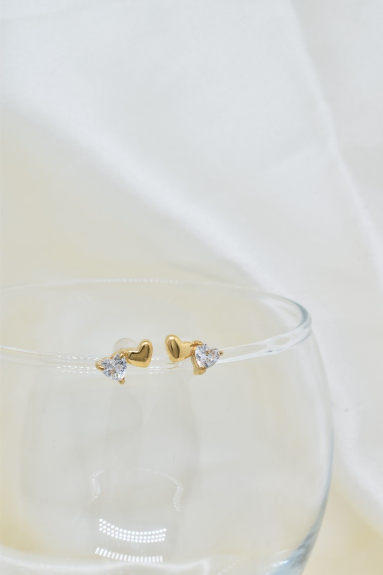 Grossiste Kapyco - Boucles d'oreilles à puces double coeur en acier inoxydable