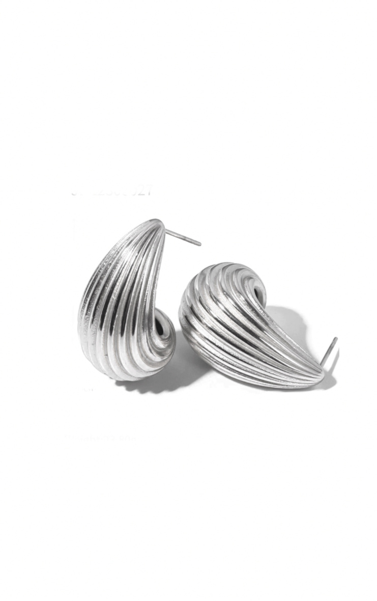 Wholesaler Les Précieuses - Pair of Rany stainless steel buckles