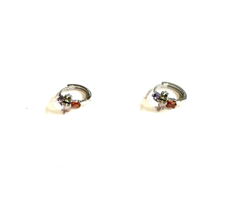 Wholesaler Les Précieuses - Pair of stainless steel Any buckles