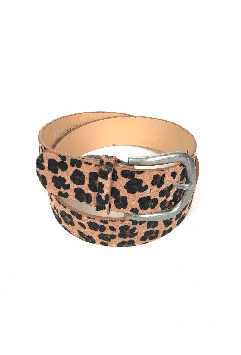 Wholesaler Lidy's - Leopard print belt with silver buckle