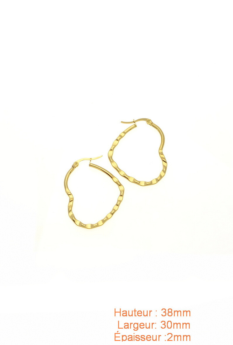 Wholesaler LILY CONTI-L&C Bijoux - Earrings-Stainless Steel