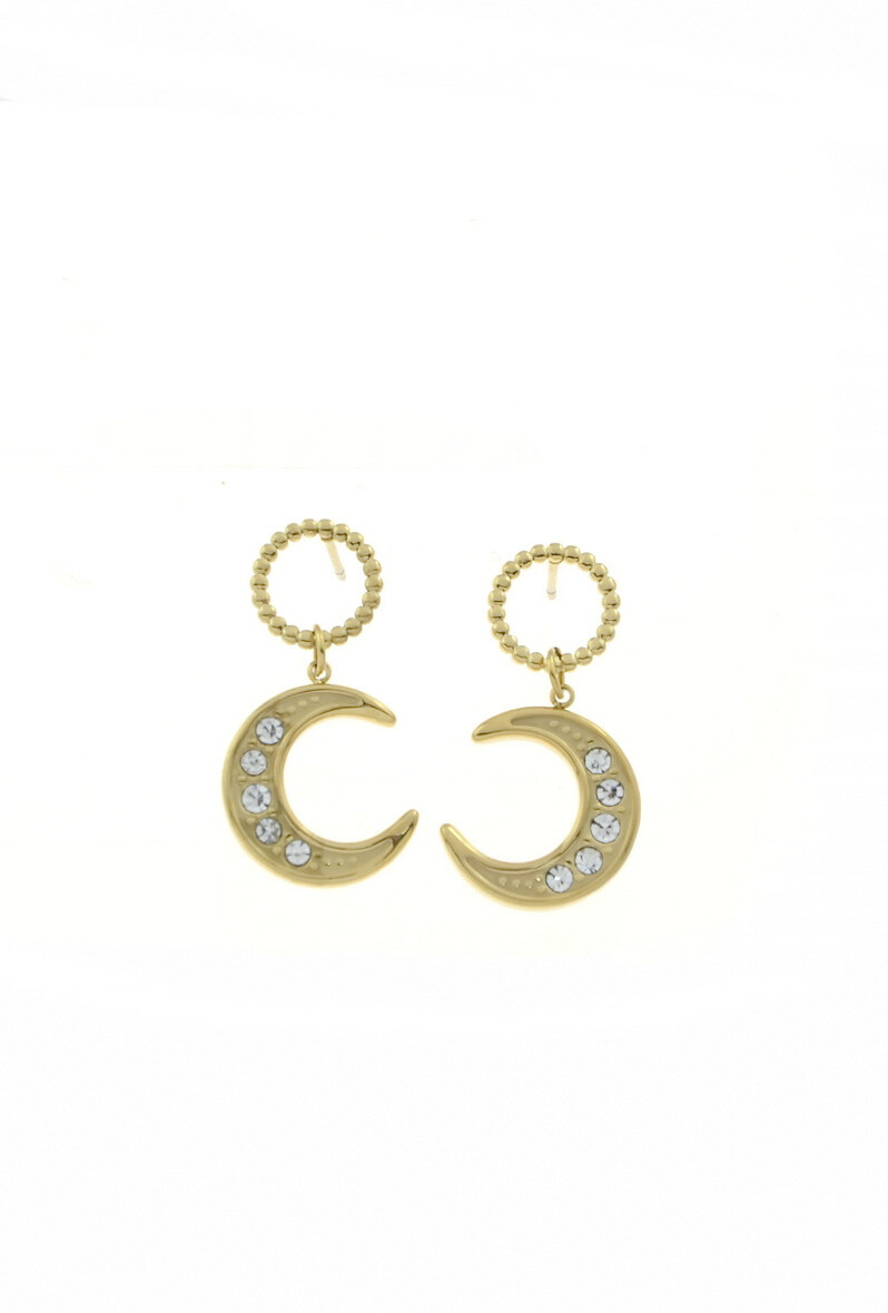 Wholesaler LILY CONTI-L&C Bijoux - Earrings-Stainless Steel