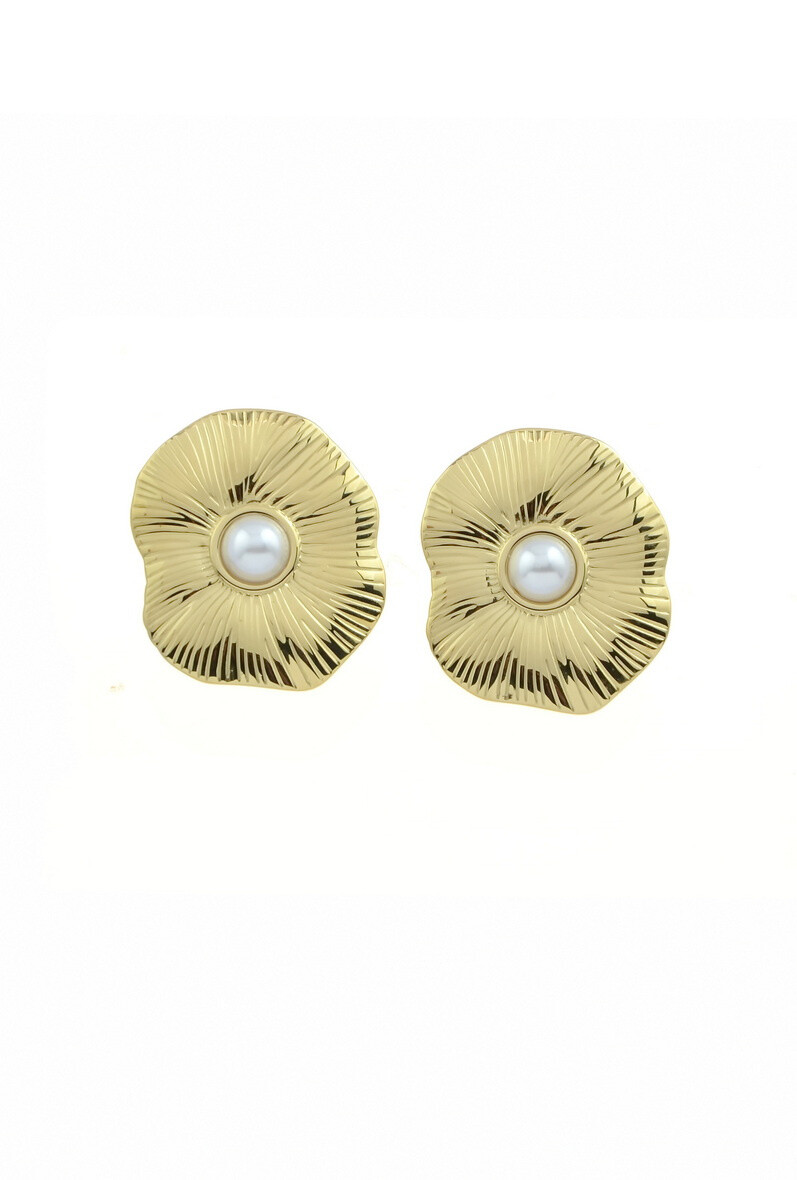 Wholesaler LILY CONTI-L&C Bijoux - Earrings-Stainless Steel