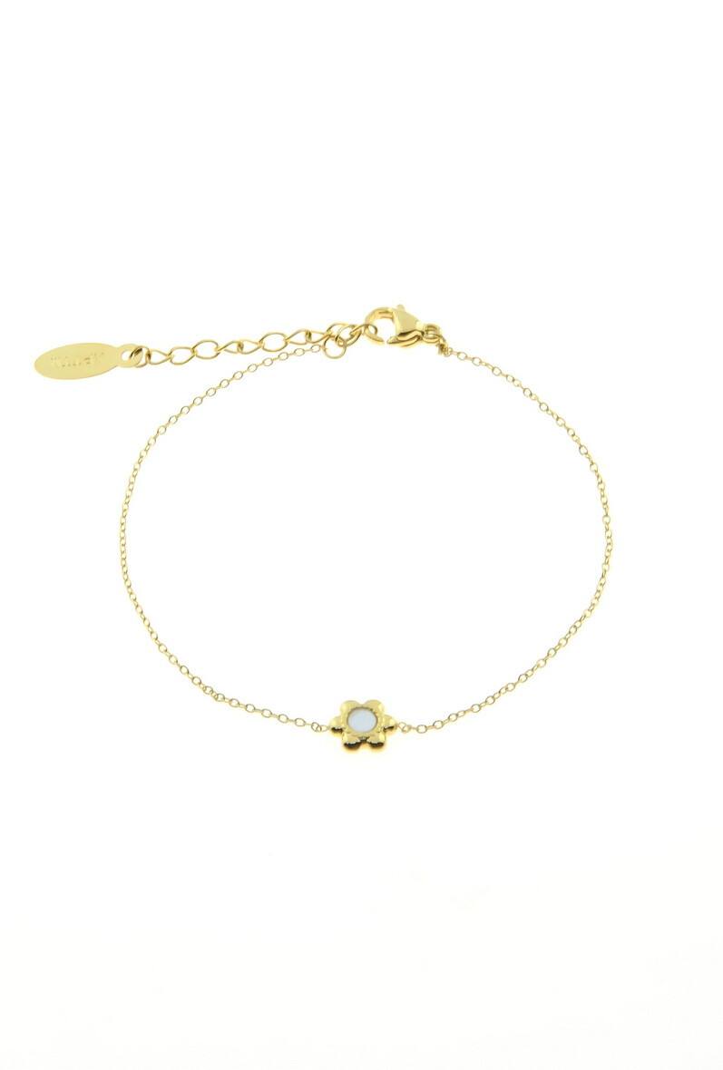 Wholesaler LILY CONTI-L&C Bijoux - Stainless-nacre stainless bracelet