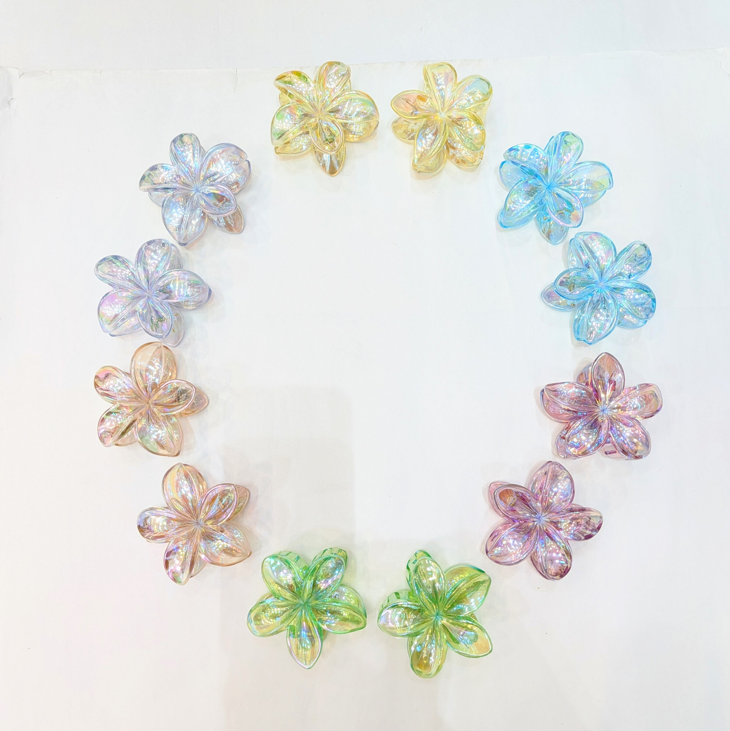 Großhändler Lolo & Yaya - Paket von 12 transparenten Haarzellen, 7 cm bei 1 € 25 pro Einheit