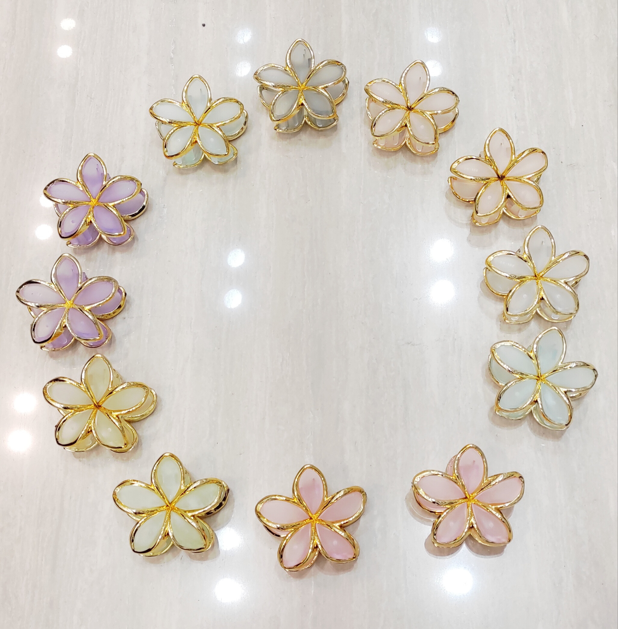 Grossista Lolo & Yaya - Pacchetto di 12 pinze per capelli trasparenti, 7 cm a 1 € 25 per unità