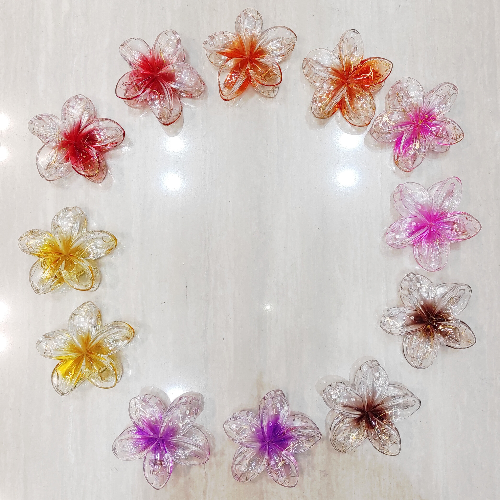 Grossista Lolo & Yaya - Pacchetto di 12 pinze per capelli trasparenti, 7 cm a 1 € 25 per unità