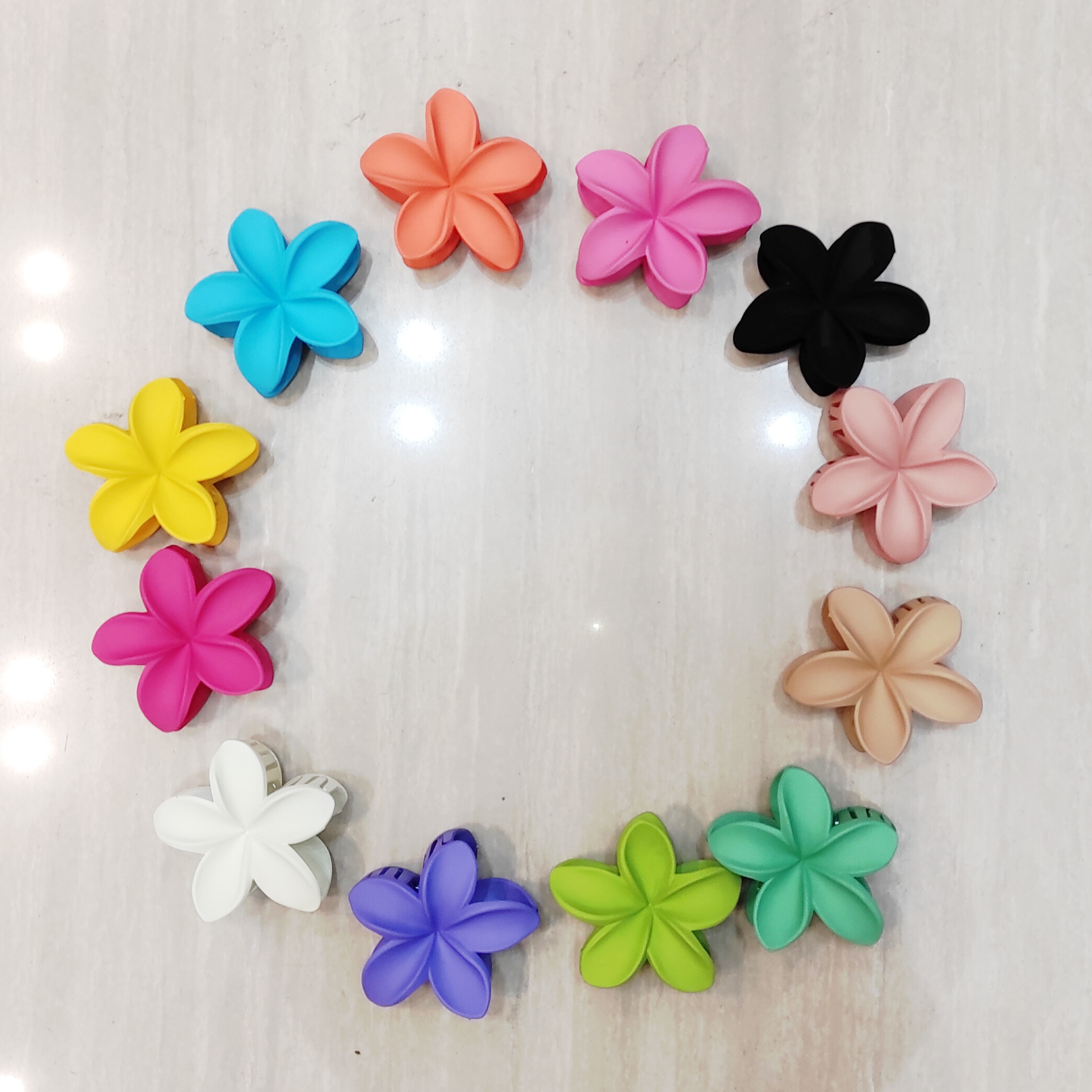 Grossista Lolo & Yaya - Pacchetto di 12 clip per capelli opachi, 7 cm a 1 € 25 per unità