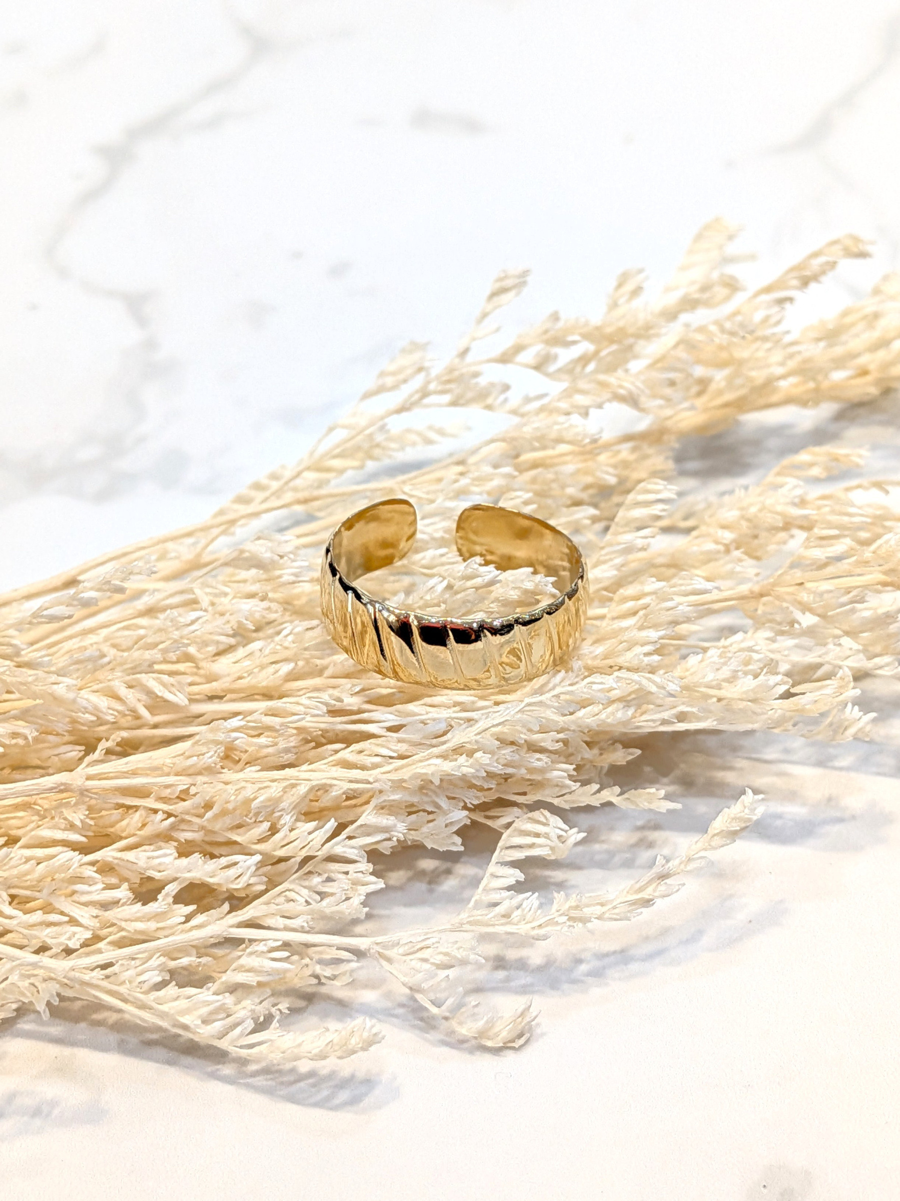 Wholesaler LOLO & YAYA - Evona timeless ring in stainless steel