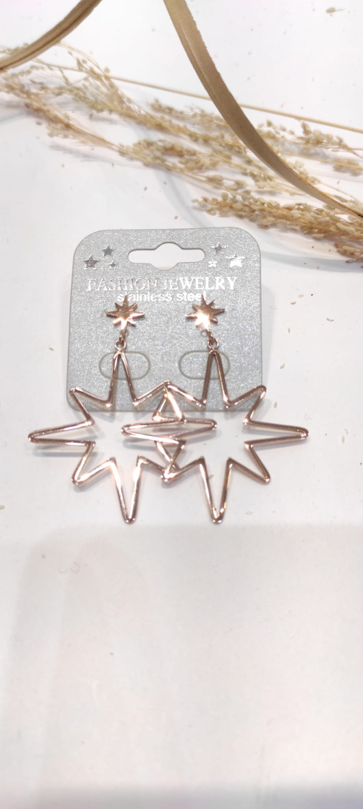 Wholesaler LOLO & YAYA - Earrings Stella in Stainless Steel