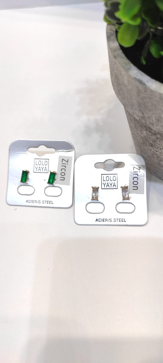 Wholesaler LOLO & YAYA - Anic rectangular stainless steel earrings