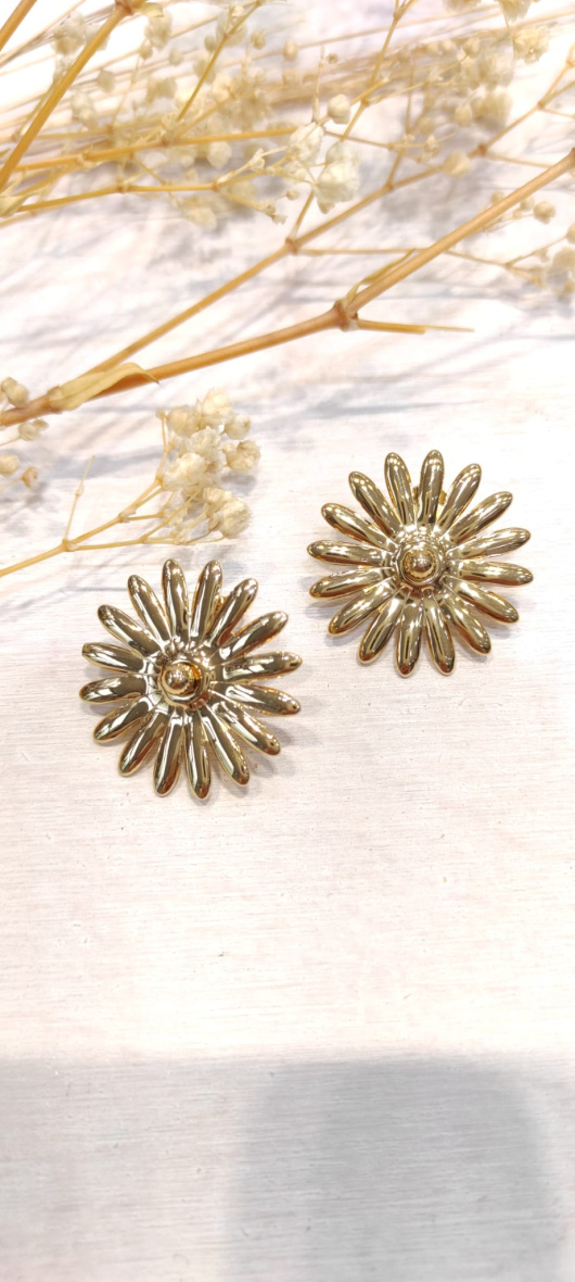 Wholesaler LOLO & YAYA - Valene stainless steel earrings