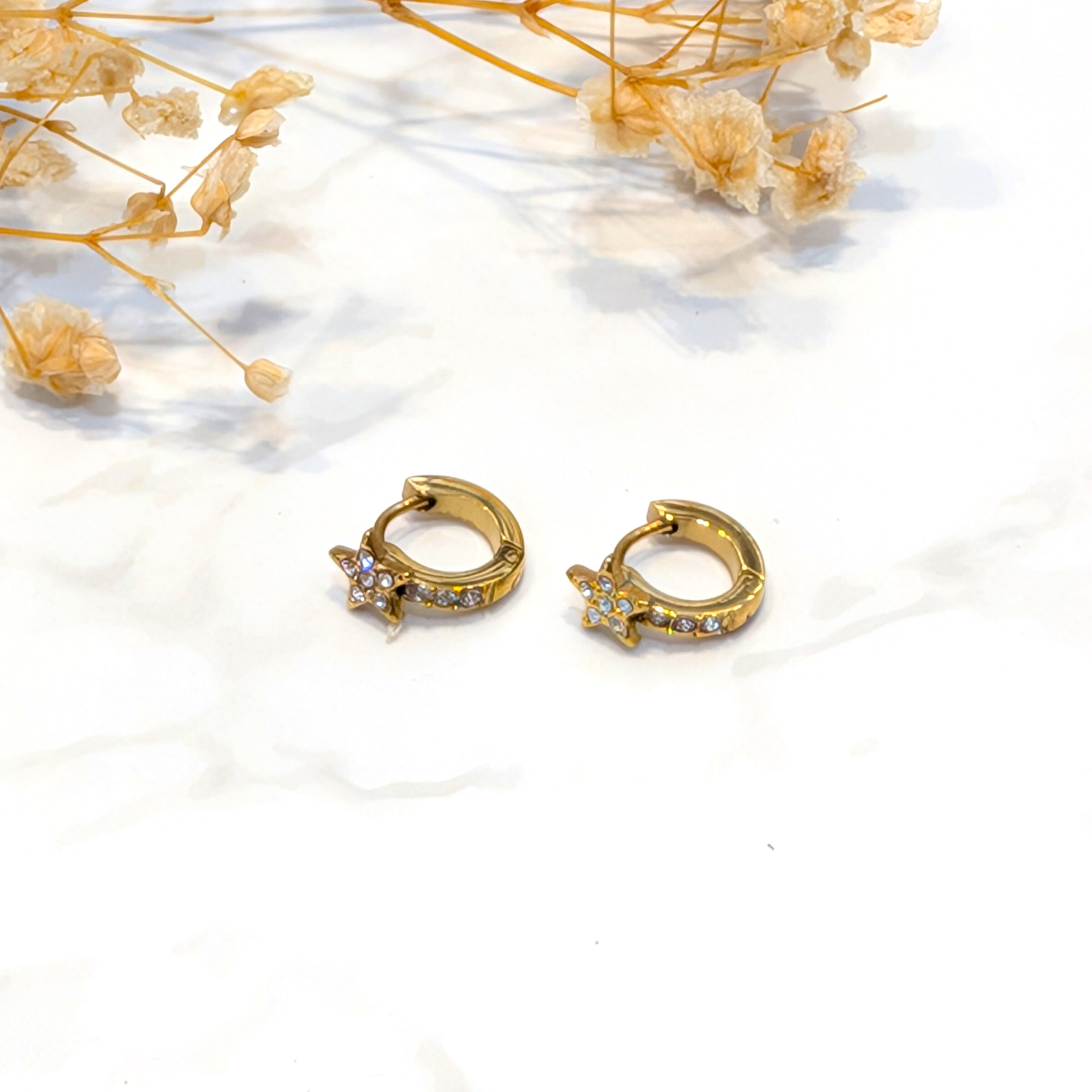 Wholesaler Lolo & Yaya - Mickota stainless steel earrings