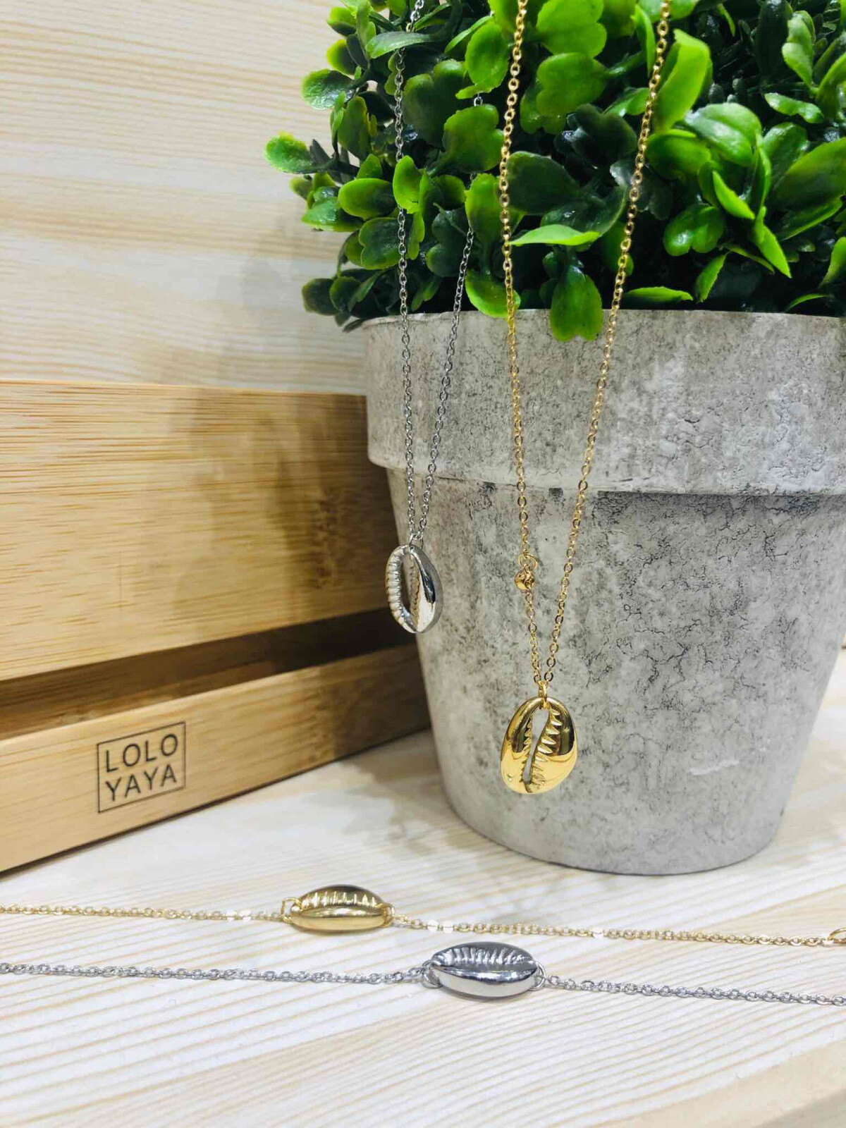 Wholesaler LOLO & YAYA - Necklace Coquillage Grain de café in Stainless Steel