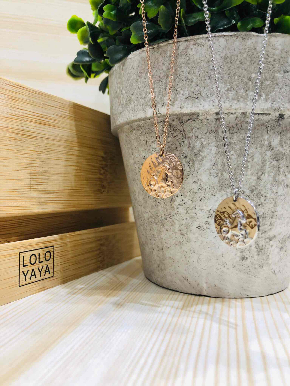 Grossiste LOLO & YAYA - Collier Astro " Capricorne ♑ " en Acier inoxydable