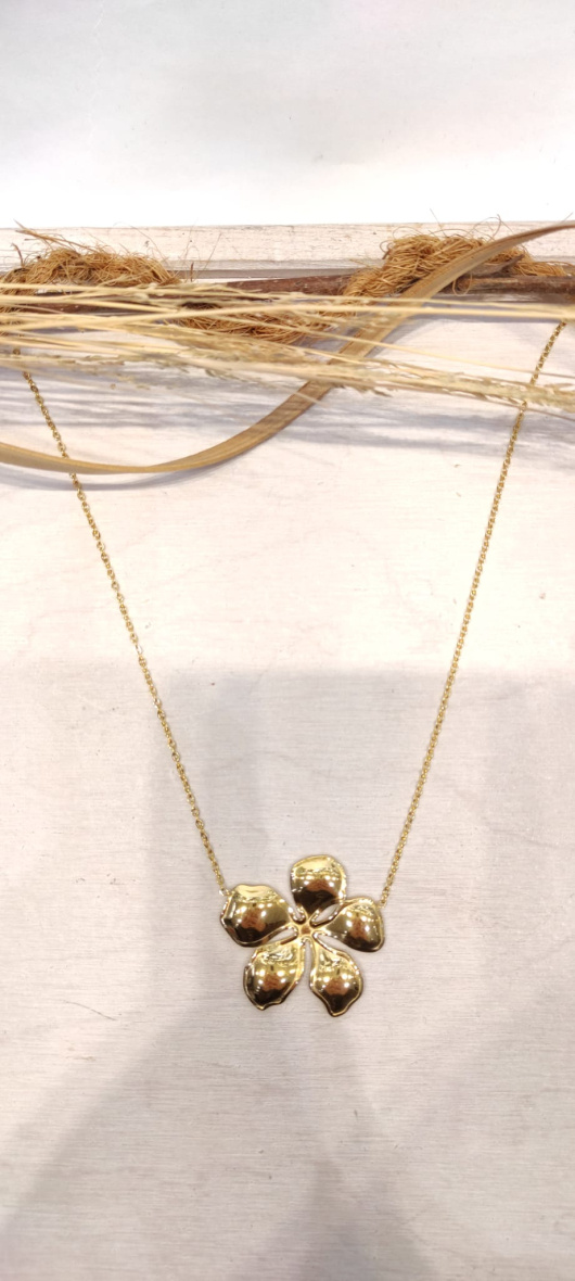Wholesaler LOLO & YAYA - Vashtia necklace in stainless steel