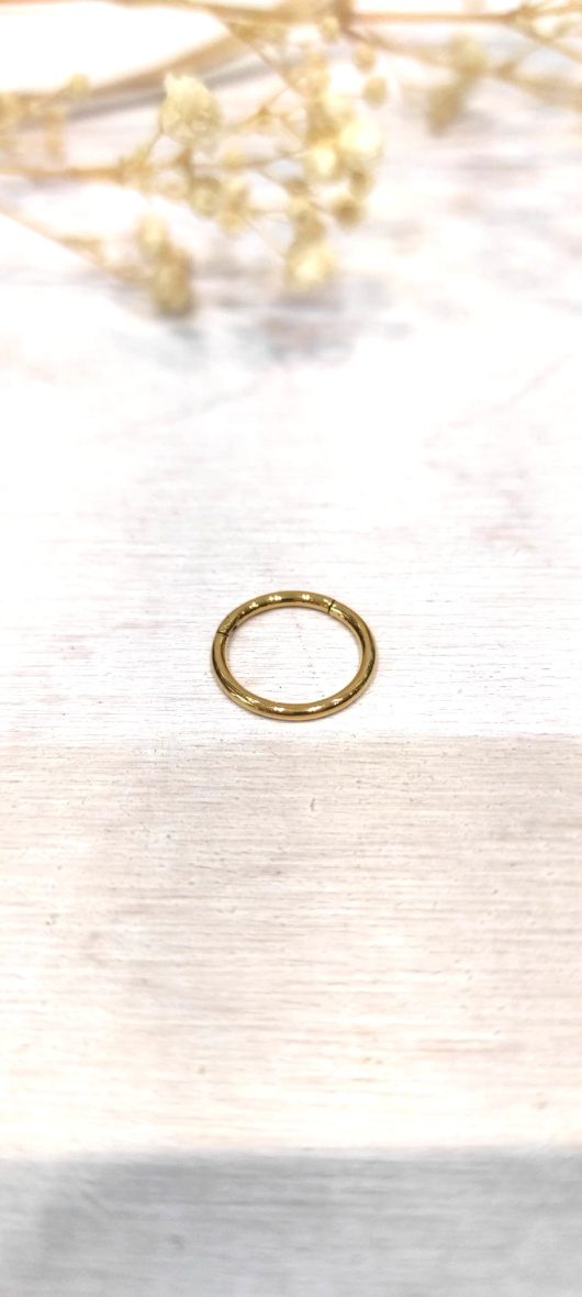 Wholesaler Lolo & Yaya - Plain ring ear piercing 10mm in stainless steel
