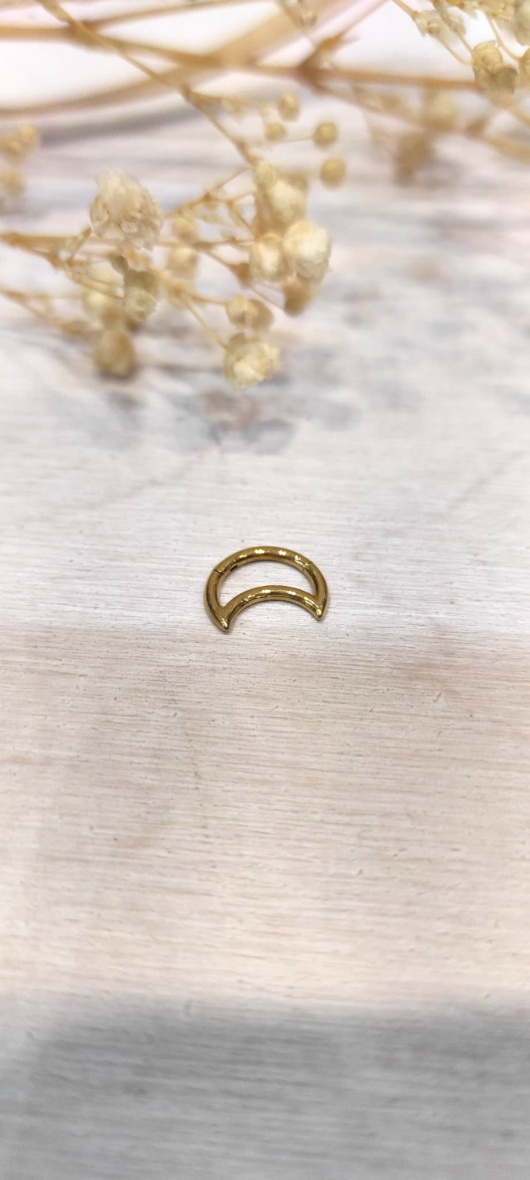 Wholesaler Lolo & Yaya - Moon ear piercing 1cm in stainless steel