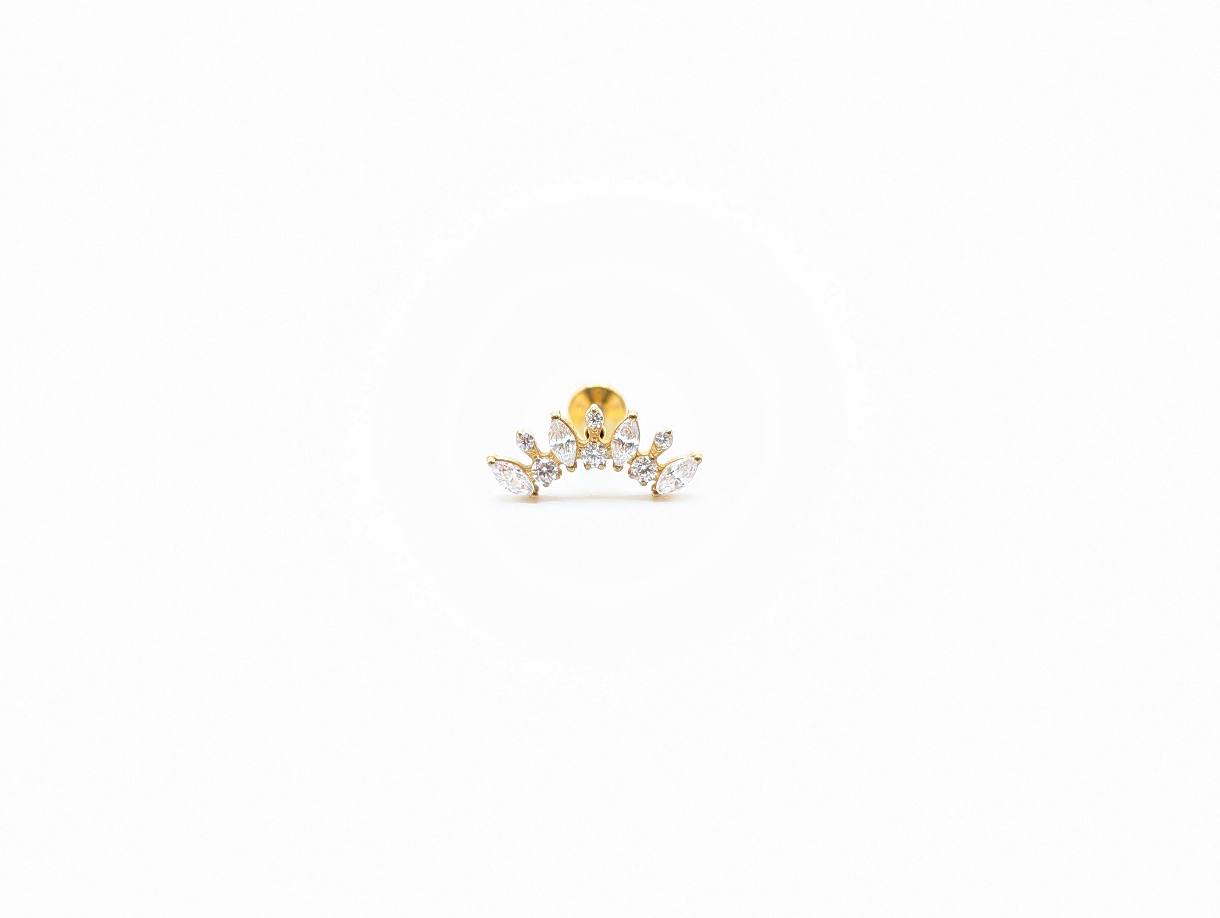 Wholesaler LOMINA - Titanium piercing