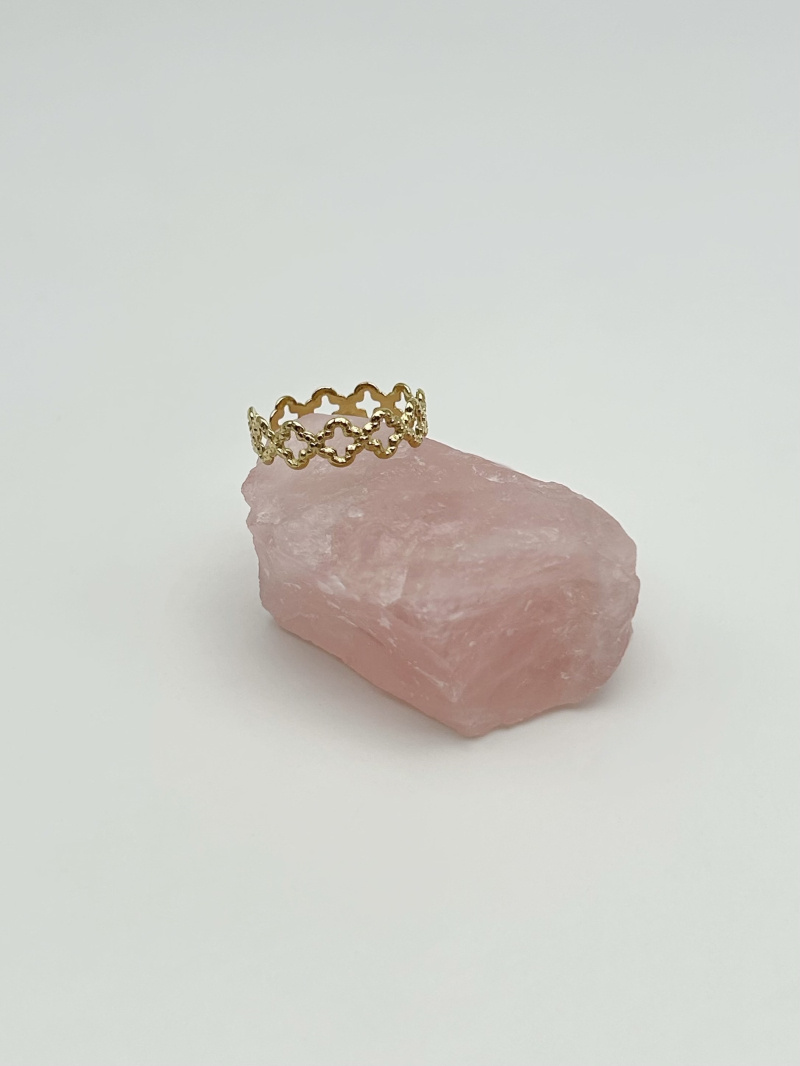 Mayorista MAISON OKAMI - Anillo de acero inoxidable