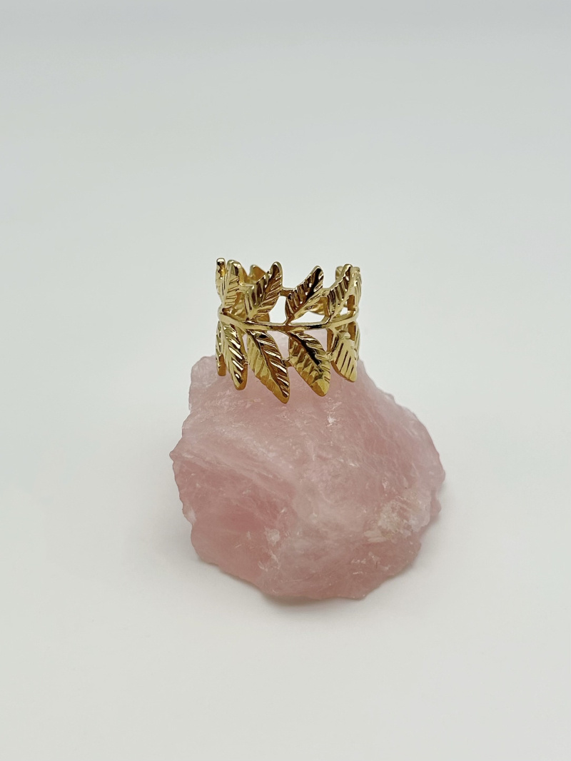 Mayorista MAISON OKAMI - Anillo de acero inoxidable