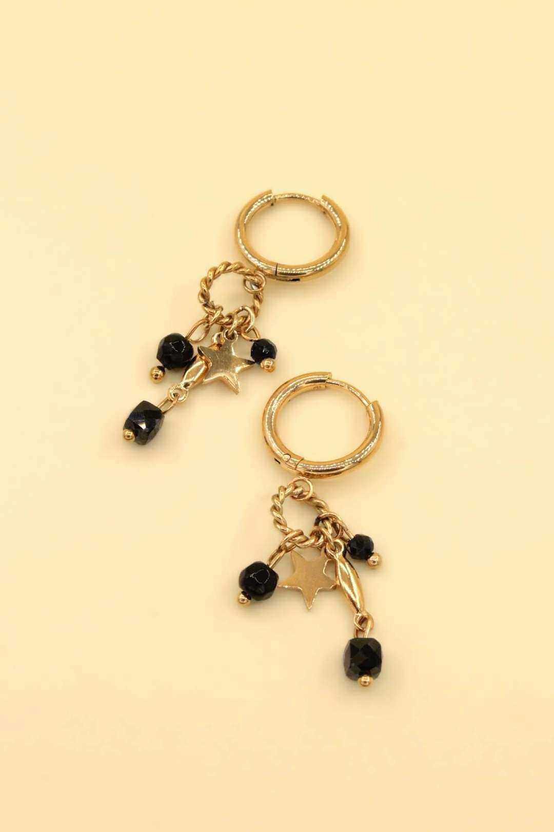 Wholesaler MAISON OKAMI - Steel and stone earrings