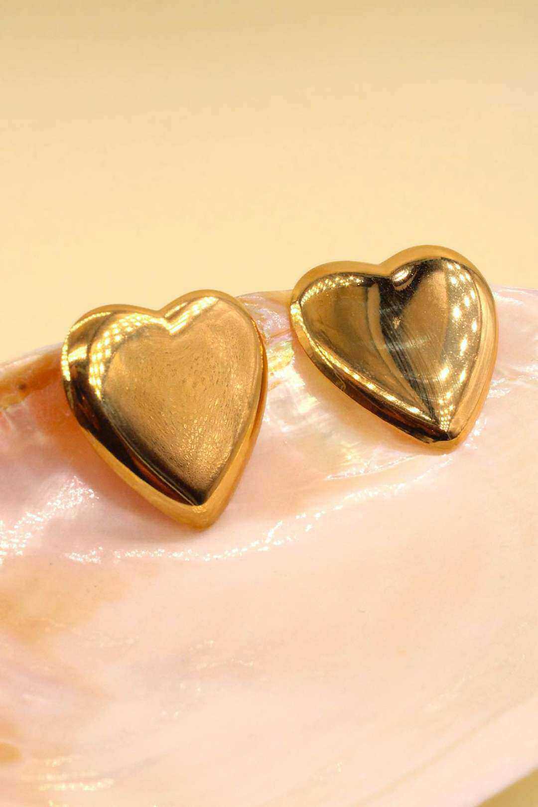 Wholesaler MAISON OKAMI - Stainless steel heart earrings
