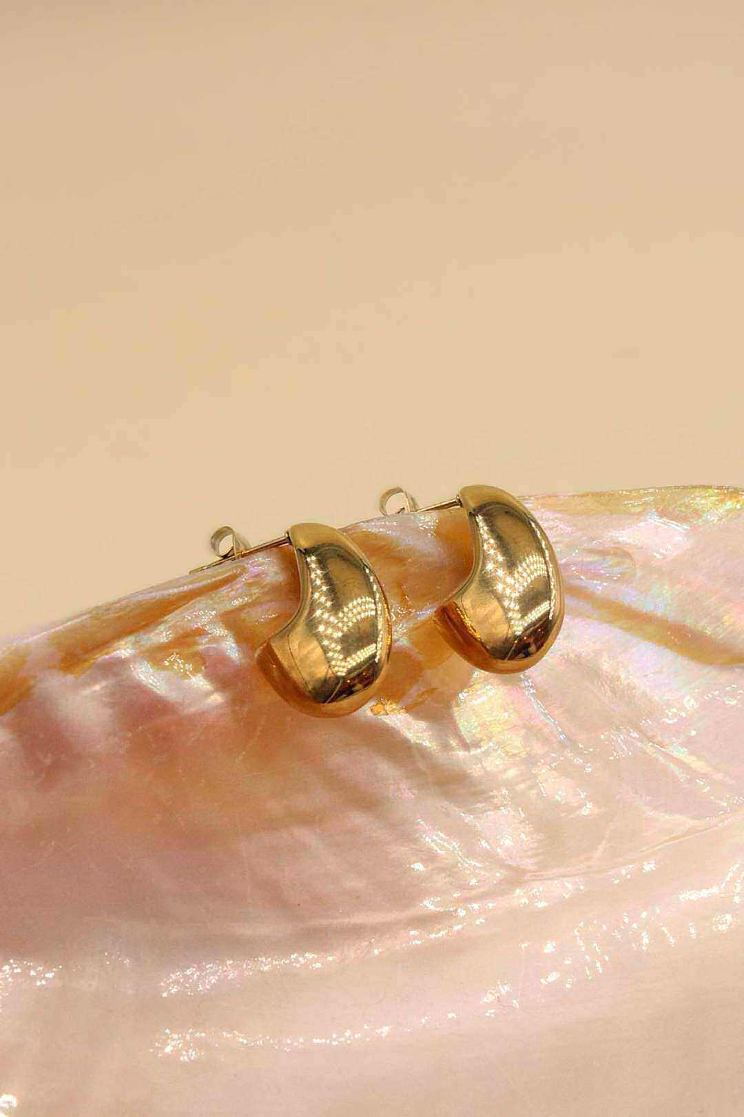 Wholesaler MAISON OKAMI - Stainless steel designer earrings