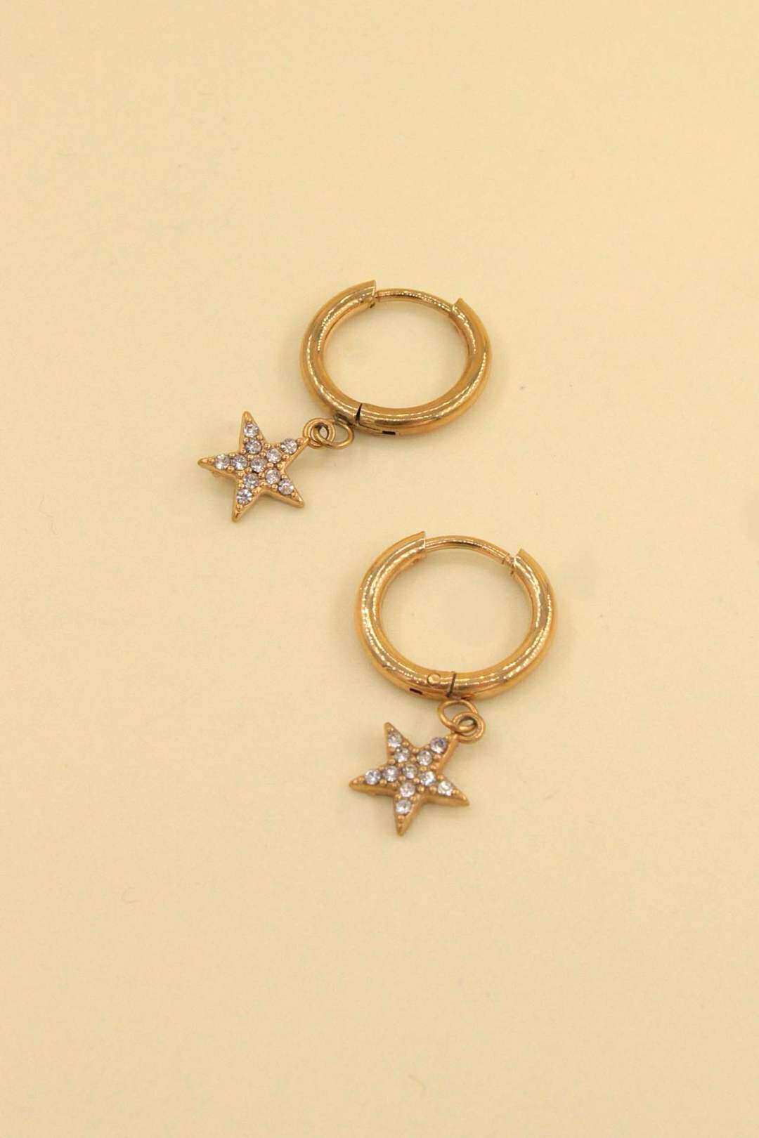 Wholesaler MAISON OKAMI - Stainless steel star earrings