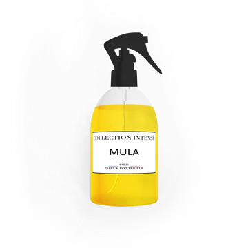 Wholesaler MJ BAZAR - Mula 250ml interior fragrance - Intense collection