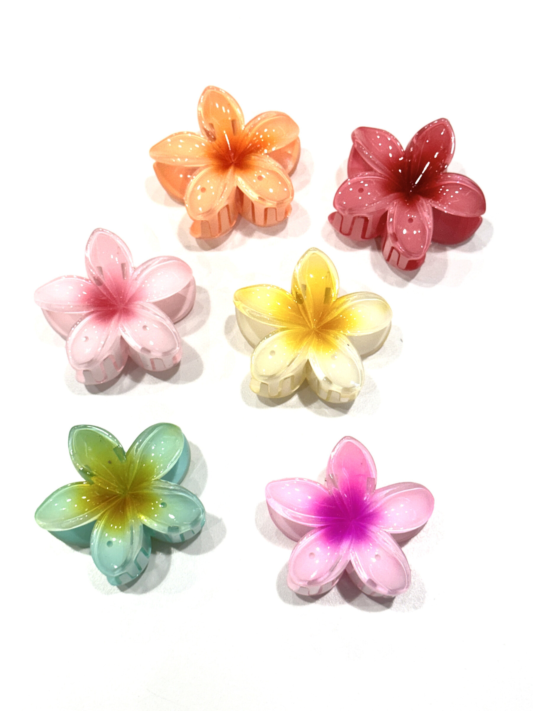 Grossista MY ACCESSORIES PARIS - Set di 5 piccoli elastici per capelli