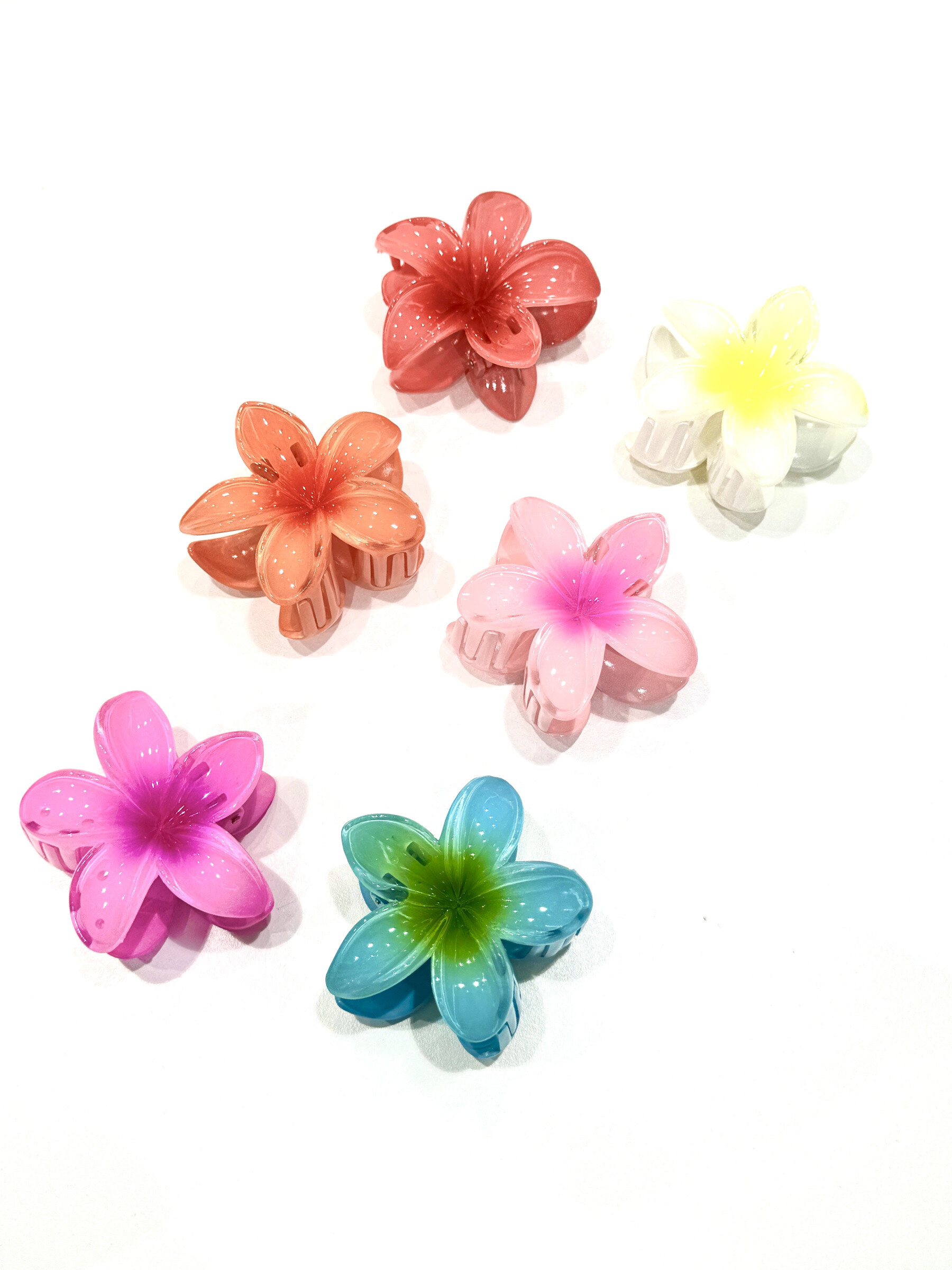 Grossista MY ACCESSORIES PARIS - Set di 5 piccoli elastici per capelli