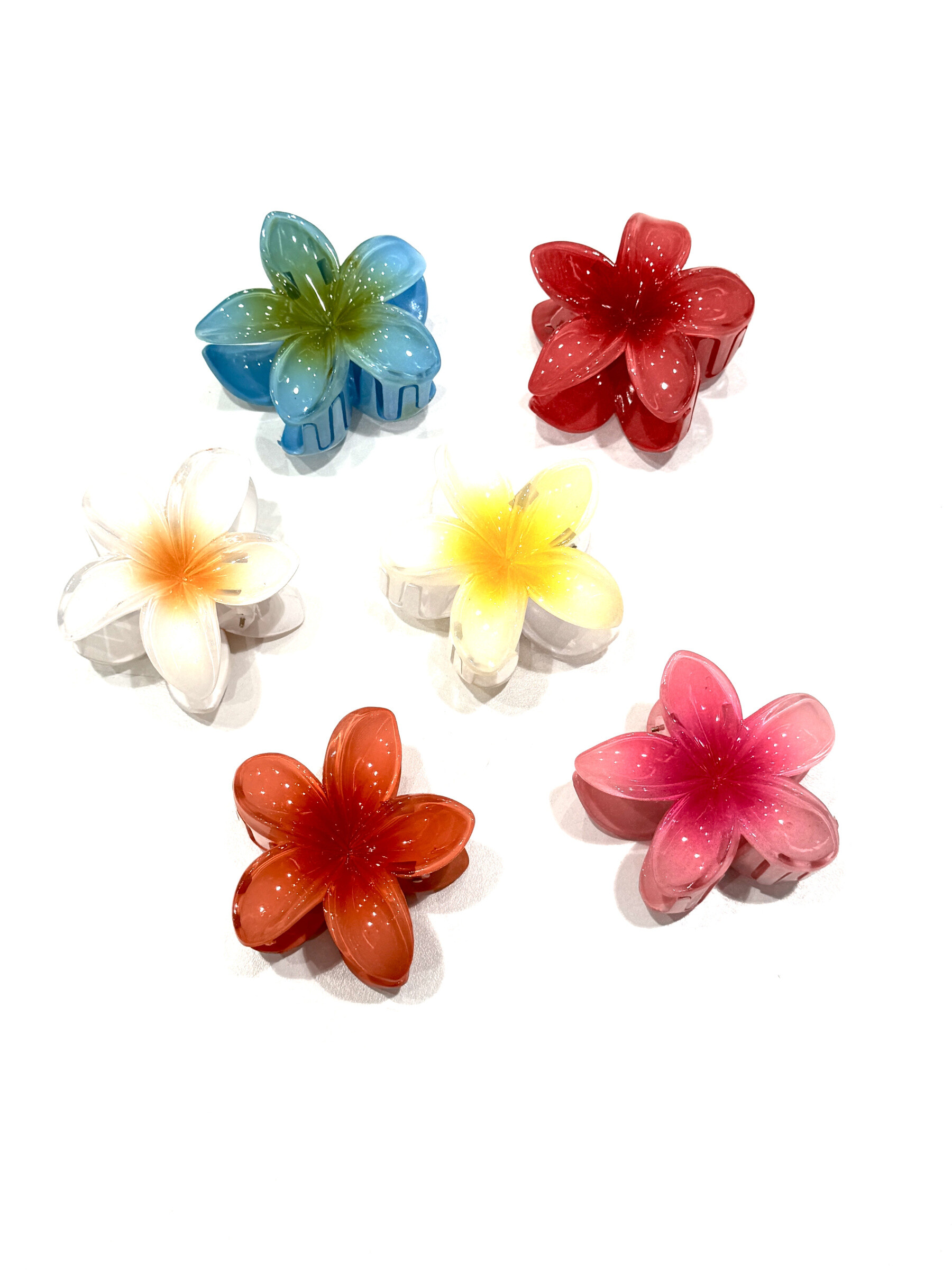 Grossista MY ACCESSORIES PARIS - Set di 5 piccoli elastici per capelli