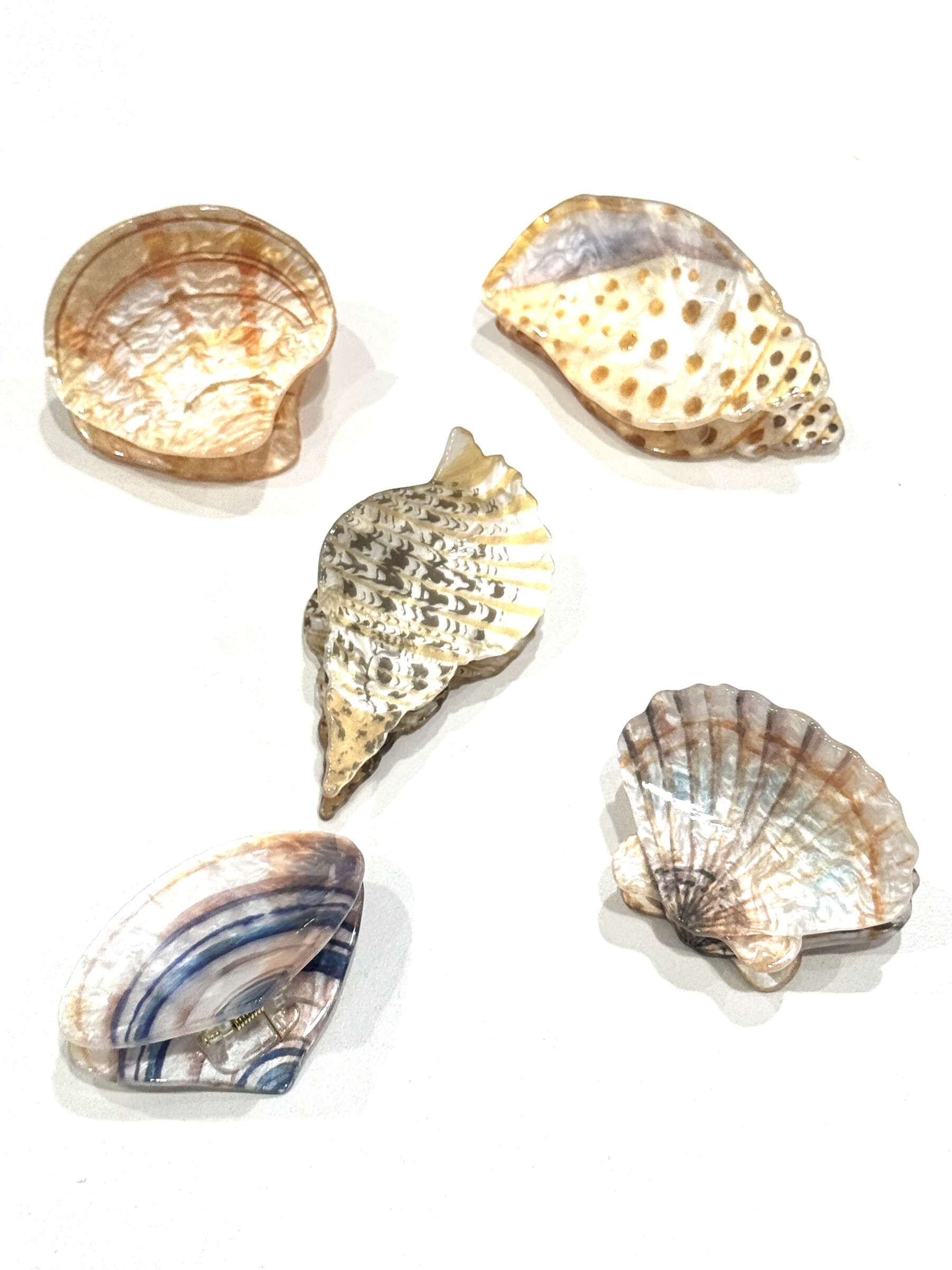 Großhändler MY ACCESSORIES PARIS - Muschelhaarzange