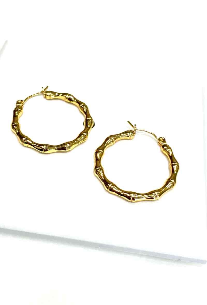 Grossiste MY ACCESSORIES PARIS - Boucle d’oreilles en acier