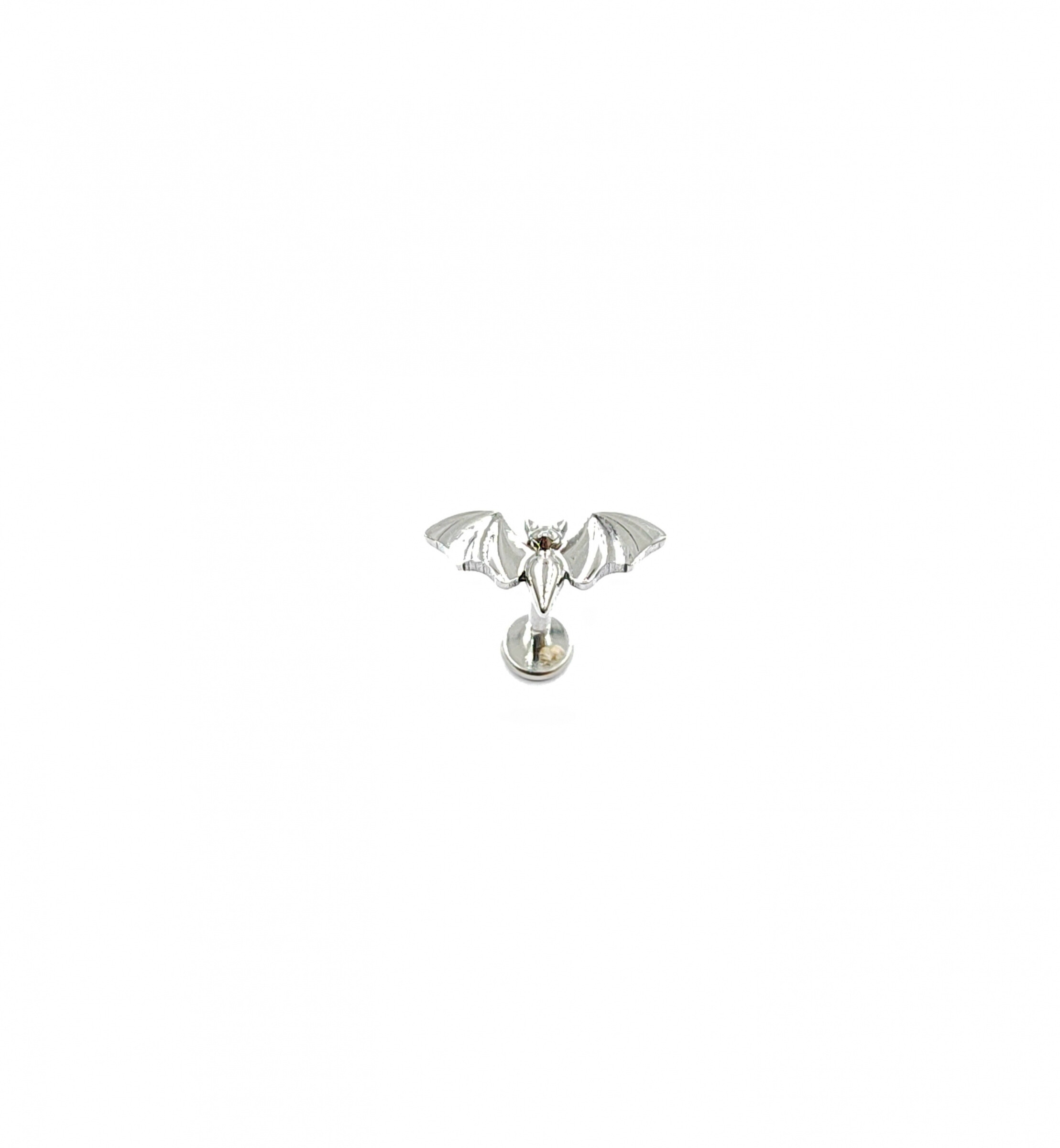 Wholesaler MYLENE ET FELIX - Bald mouse titanium piercing