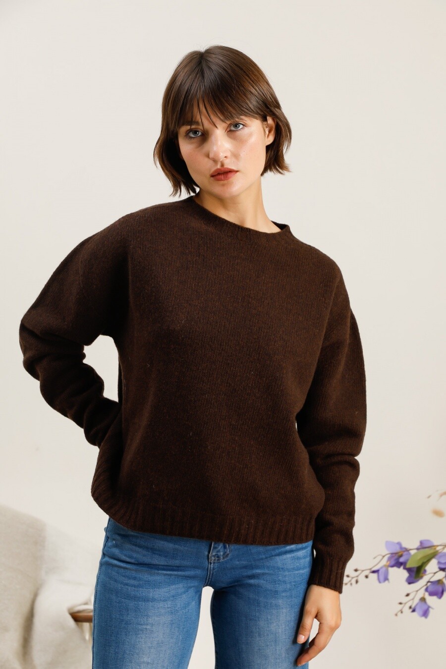 Pull col rond manches longues 100% laine mérinos superfine