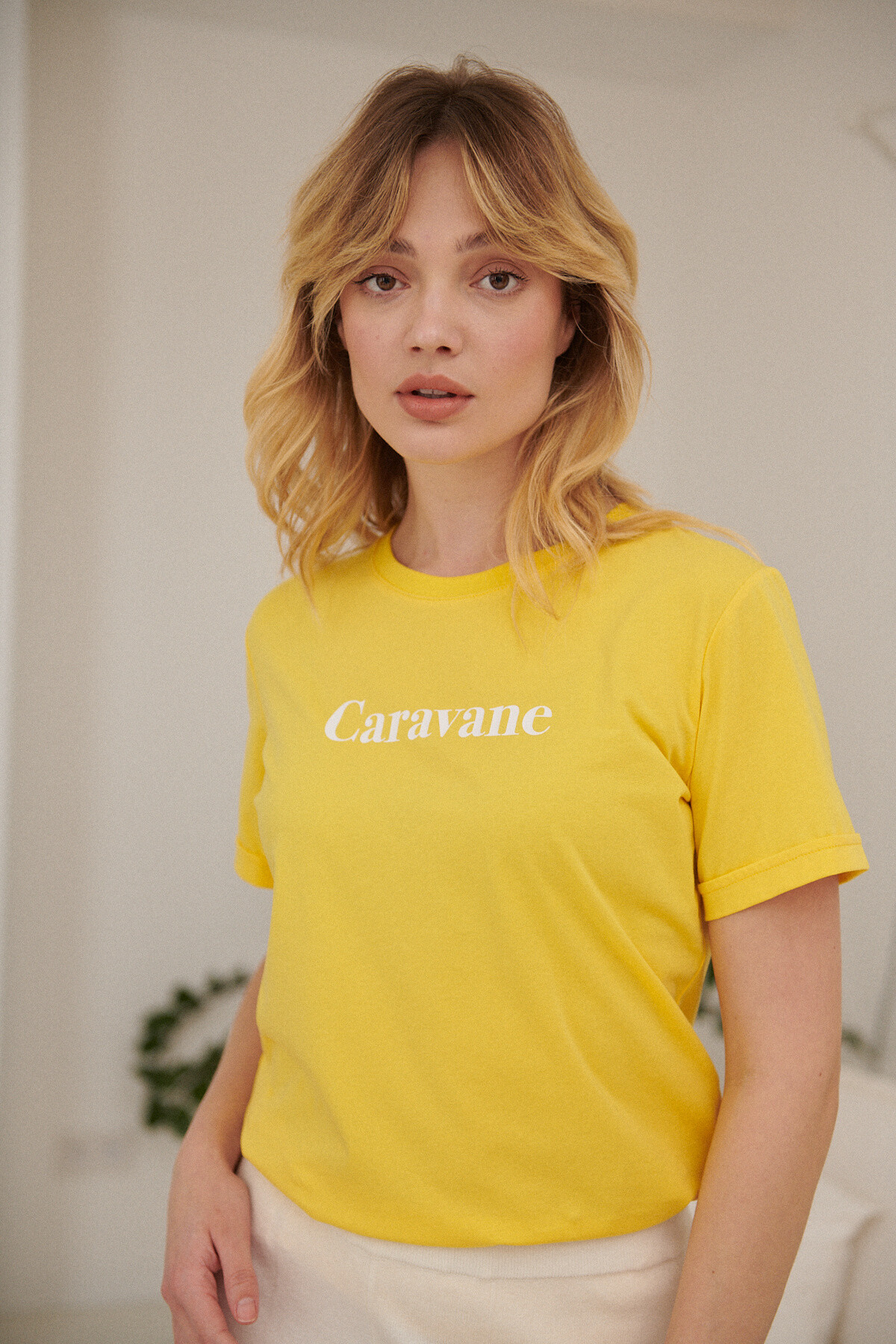 Grossiste NATHAEL - T-shirt en coton CARAVANE