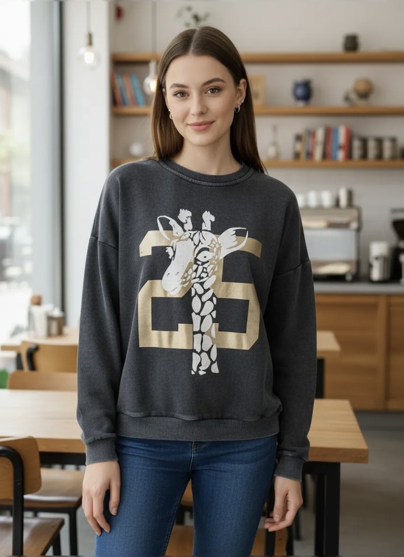 Wholesaler NOS - Faded sweatshirt with pattern
